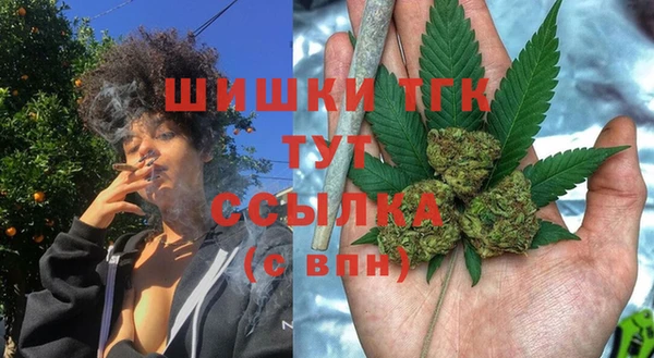 тгк Беломорск