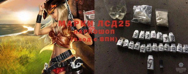 тгк Беломорск
