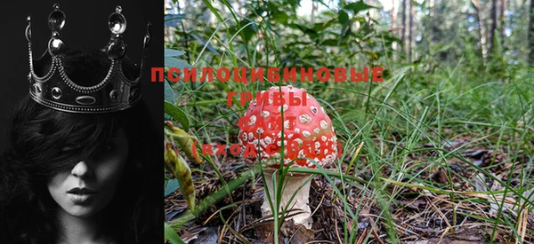 круглые Белоозёрский