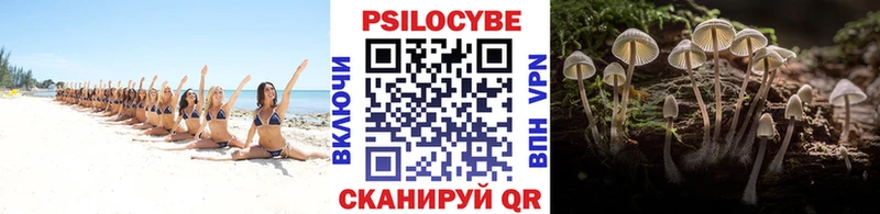 Псилоцибиновые грибы Psilocybe  KRAKEN ONION  Гудермес  цены  