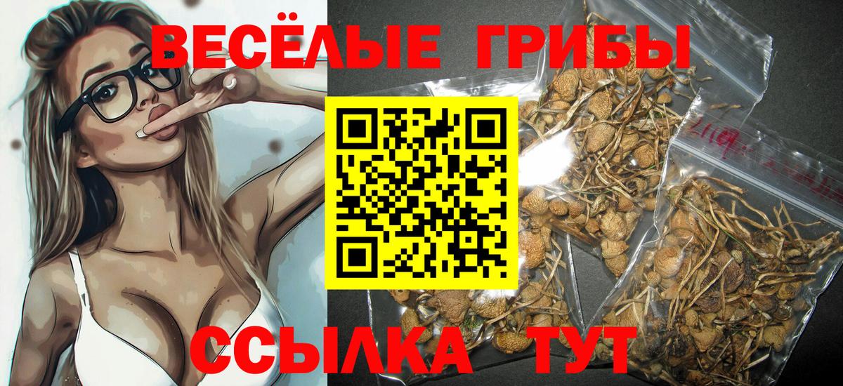 Галлюциногенные грибы мухоморы  Вход с VPN  Гудермес 